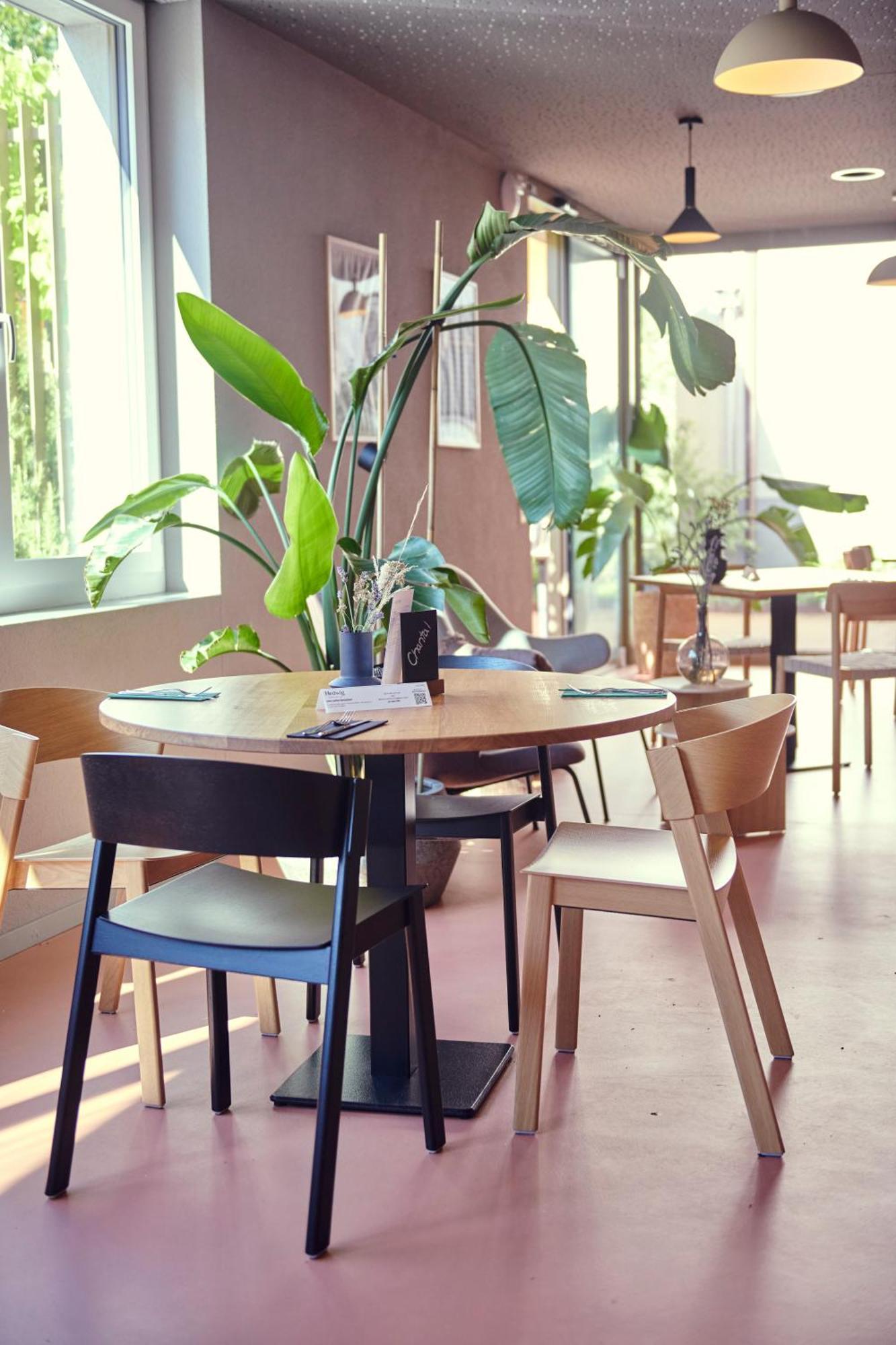 Hotel Balga Natur- Und Bikehotel Balgach Экстерьер фото